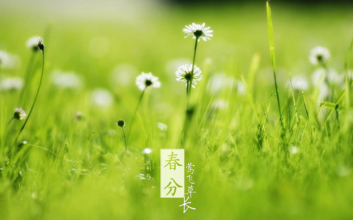 即便是春風十裏，依然不如你