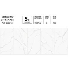 通體大板GTA15701定製